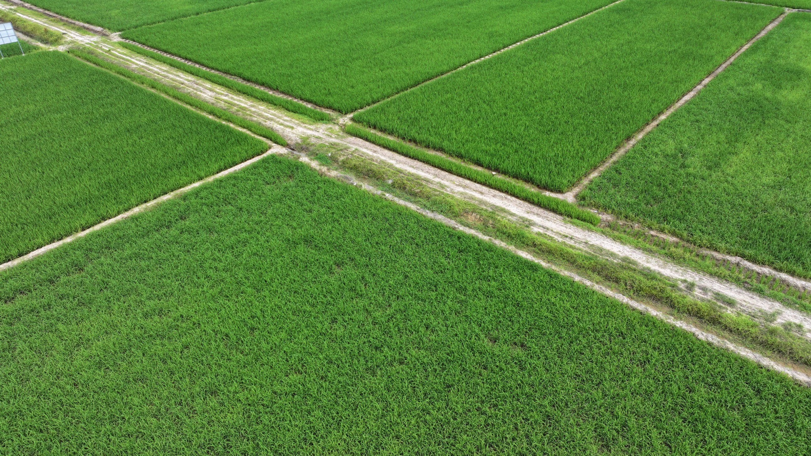 DJI_20240517175835_0038_D.JPG