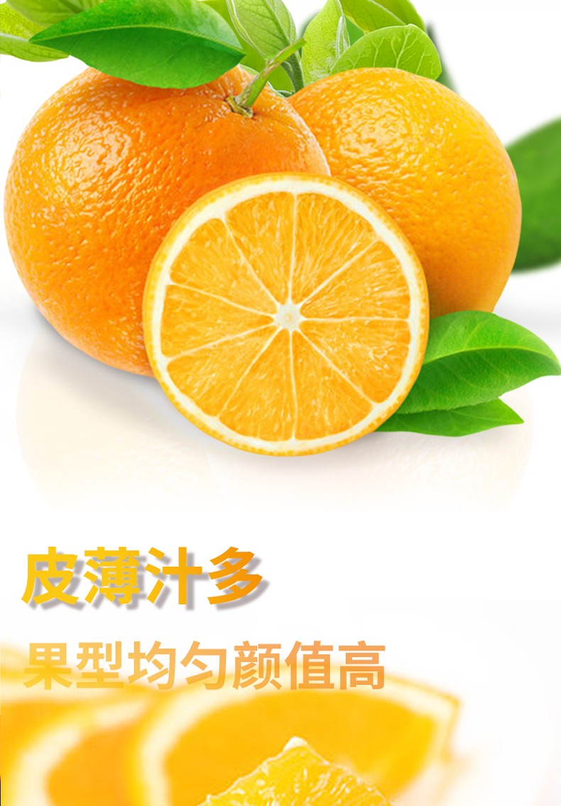 和萬安|生態(tài)農(nóng)業(yè)|有機(jī)食品|綠色食品|稻田共養(yǎng)