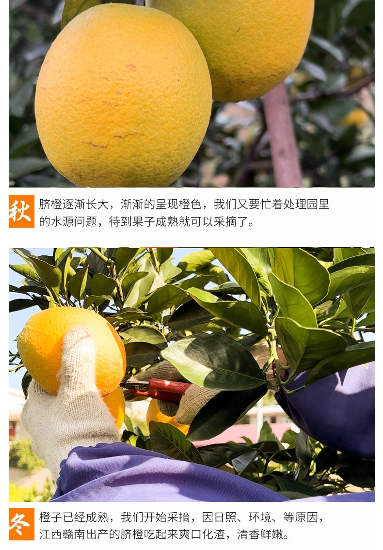 和萬安|生態(tài)農(nóng)業(yè)|有機(jī)食品|綠色食品|稻田共養(yǎng)