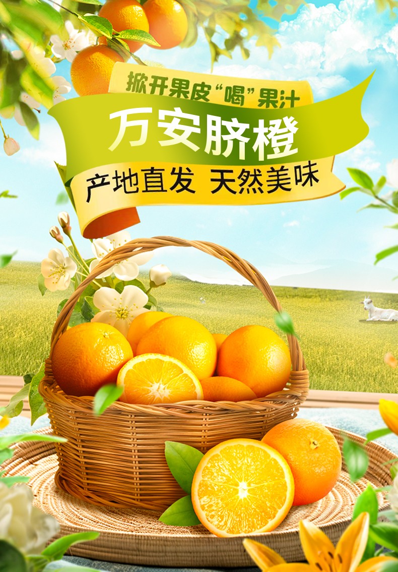 和萬安|生態(tài)農(nóng)業(yè)|有機(jī)食品|綠色食品|稻田共養(yǎng)