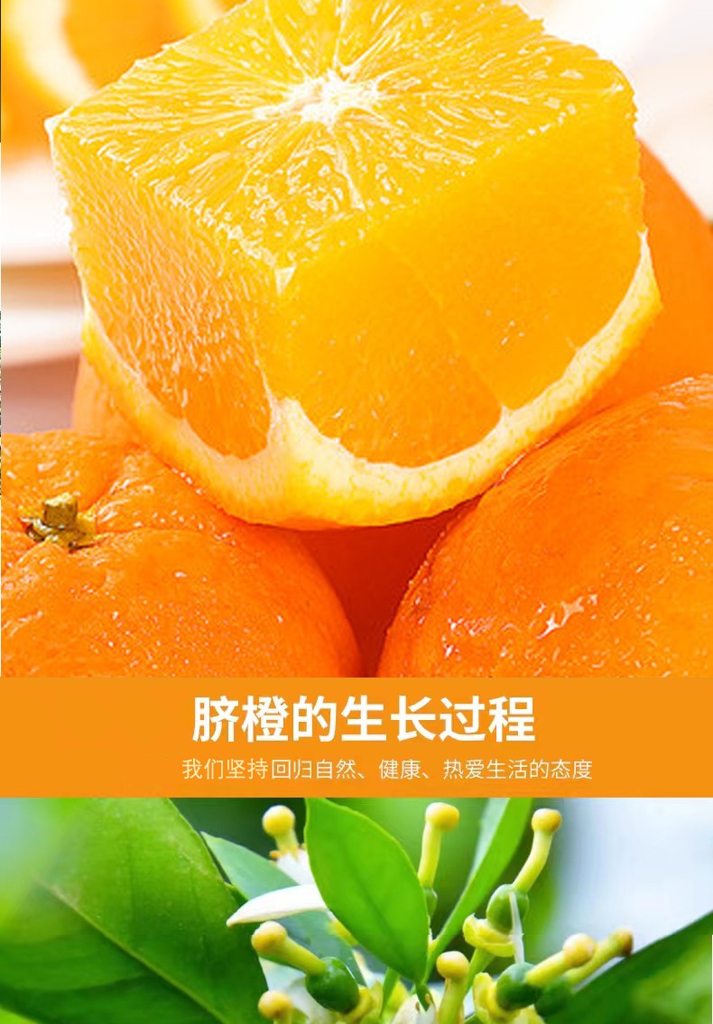 和萬安|生態(tài)農(nóng)業(yè)|有機(jī)食品|綠色食品|稻田共養(yǎng)