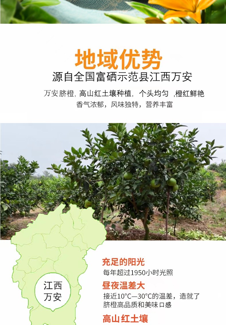 和萬安|生態(tài)農(nóng)業(yè)|有機(jī)食品|綠色食品|稻田共養(yǎng)