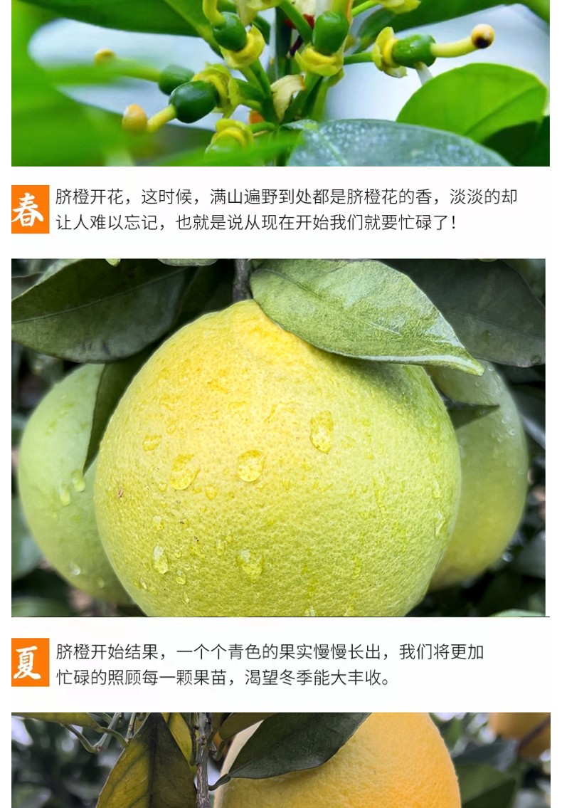 和萬安|生態(tài)農(nóng)業(yè)|有機(jī)食品|綠色食品|稻田共養(yǎng)