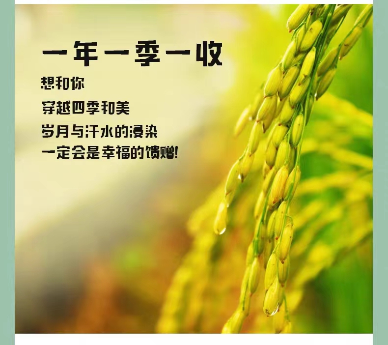 和萬(wàn)安|生態(tài)農(nóng)業(yè)|有機(jī)食品|綠色食品|稻田共養(yǎng)