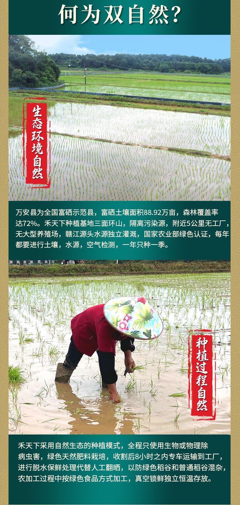 和萬安|生態(tài)農(nóng)業(yè)|有機食品|綠色食品|稻田共養(yǎng)