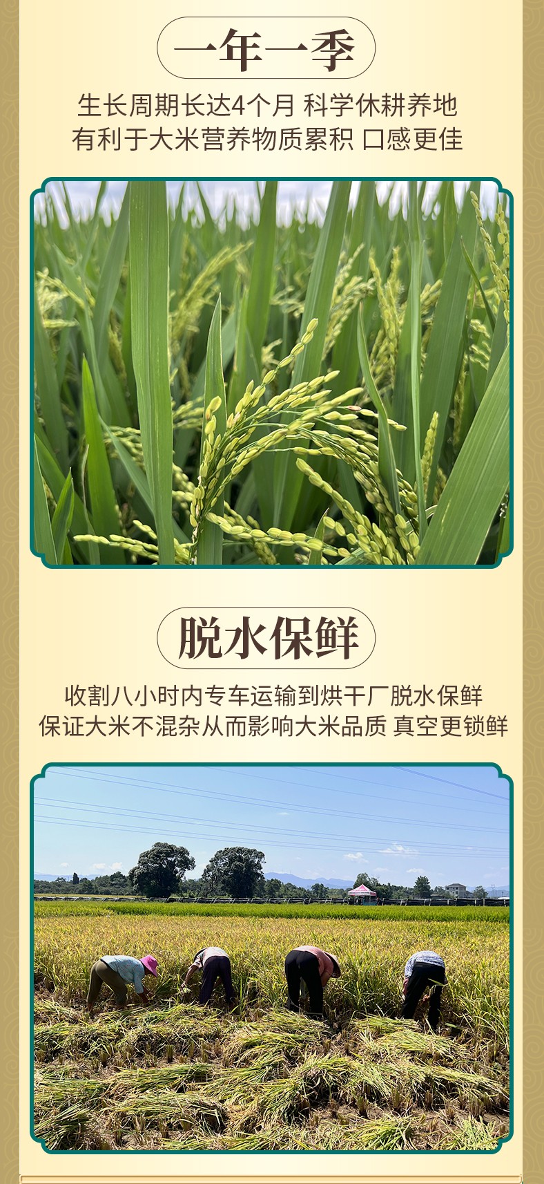 和萬安|生態(tài)農(nóng)業(yè)|有機食品|綠色食品|稻田共養(yǎng)