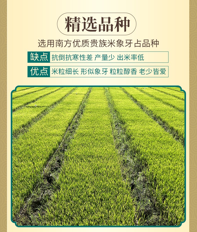 和萬安|生態(tài)農(nóng)業(yè)|有機食品|綠色食品|稻田共養(yǎng)