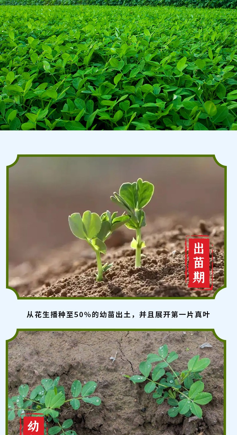 和萬安|生態(tài)農(nóng)業(yè)|有機(jī)食品|綠色食品|稻田共養(yǎng)