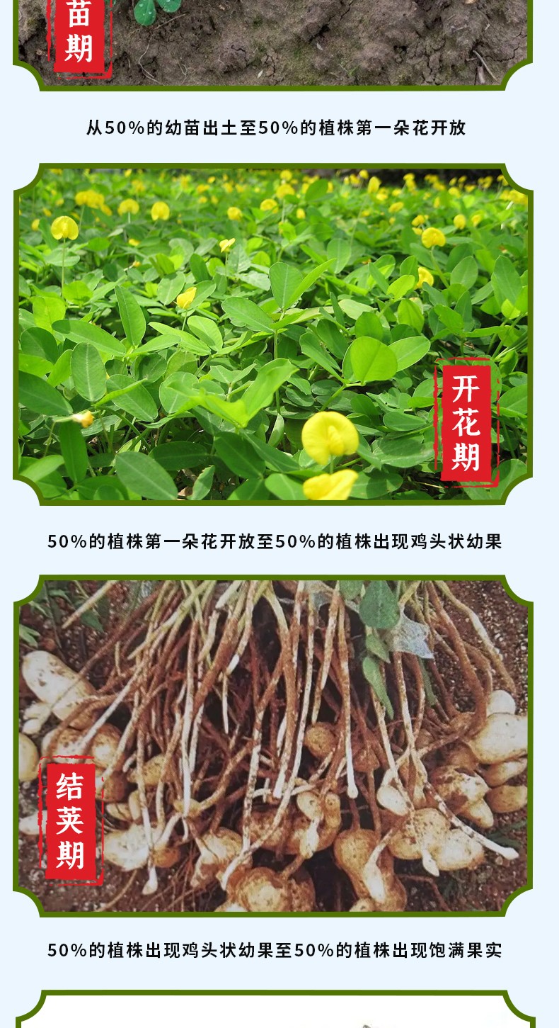 和萬安|生態(tài)農(nóng)業(yè)|有機(jī)食品|綠色食品|稻田共養(yǎng)