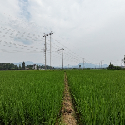 禾天下基地直播3