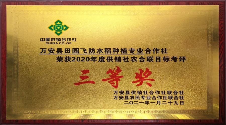 2020年度供銷社農合聯(lián)目標考評三等獎
